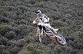 ROB_2070 (Copy)